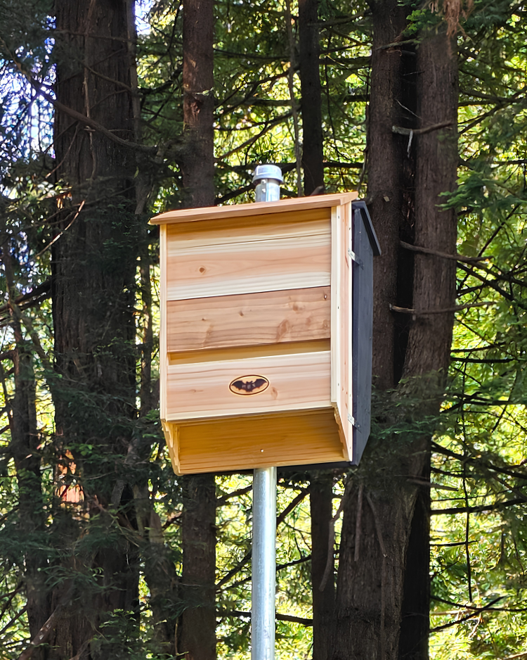 Happy Bat House - 3 Chamber
